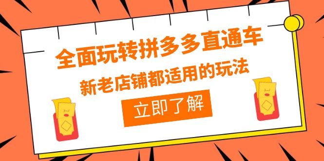 全面玩转拼多多直通车，新老店铺都适用的玩法（12节精华课）