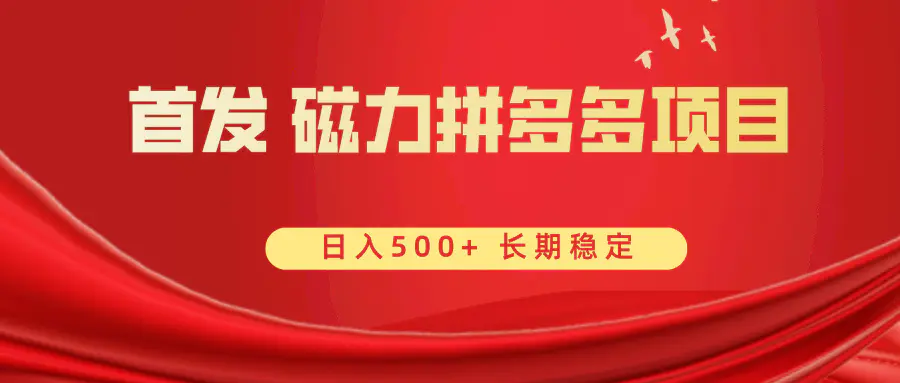 首发 磁力拼多多自撸 日入500+