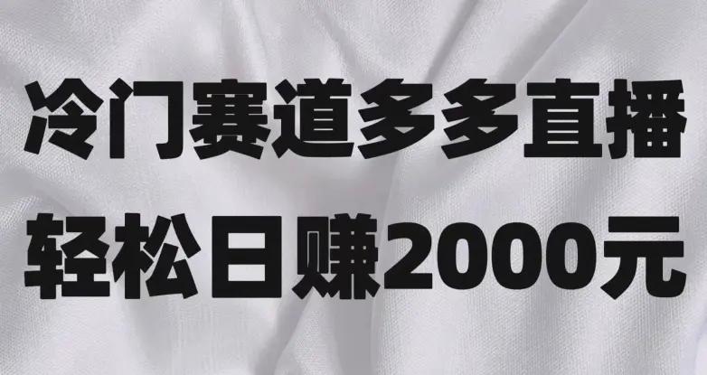 冷门赛道拼多多直播，简单念稿子，日收益2000＋【揭秘】