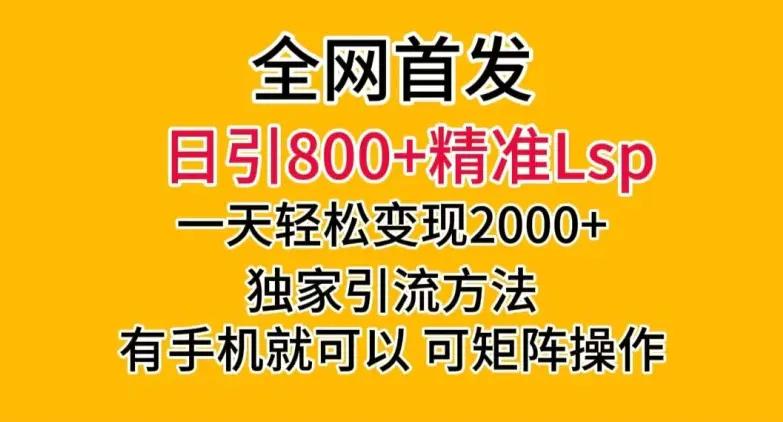 全网首发！日引800+精准老色批，一天变现2000+，独家引流方法，可矩阵操作【揭秘】