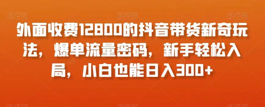 外面收费12800的抖音带货新奇玩法，爆单流量密码，新手轻松入局，小白也能日入300+【揭秘】