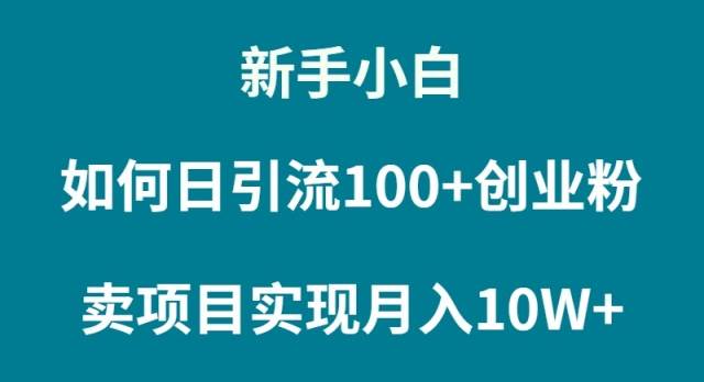 新手小白如何通过卖项目实现月入10W+