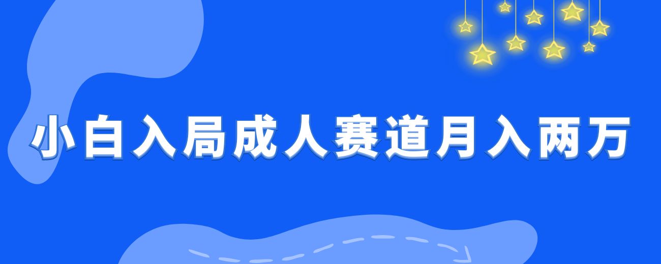 小白入局成人用品赛道，25天变现19000+-航海圈